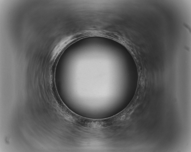 X0000103140103200808221224