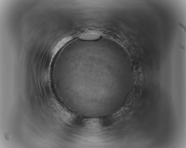 X0000103140104200808221224