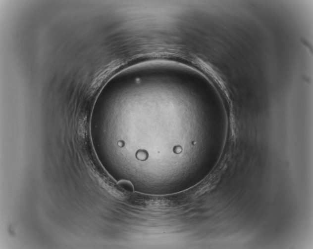 X0000103140105200808221224