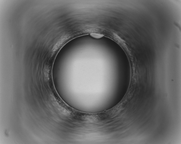 X0000103140106200808221224