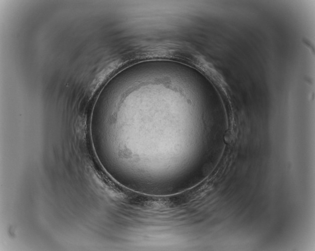 X0000103140107200808221224