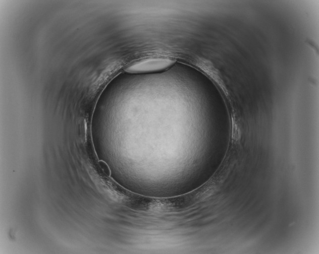 X0000103140109200808221224