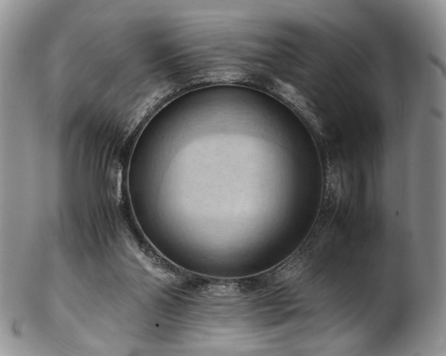 X0000103140110200808221224