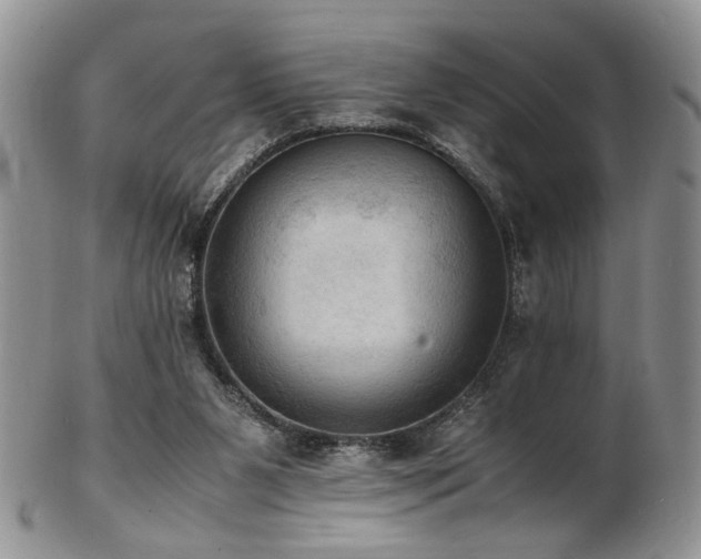 X0000103140111200808221224