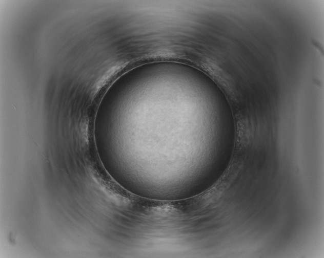 X0000103140112200808221224