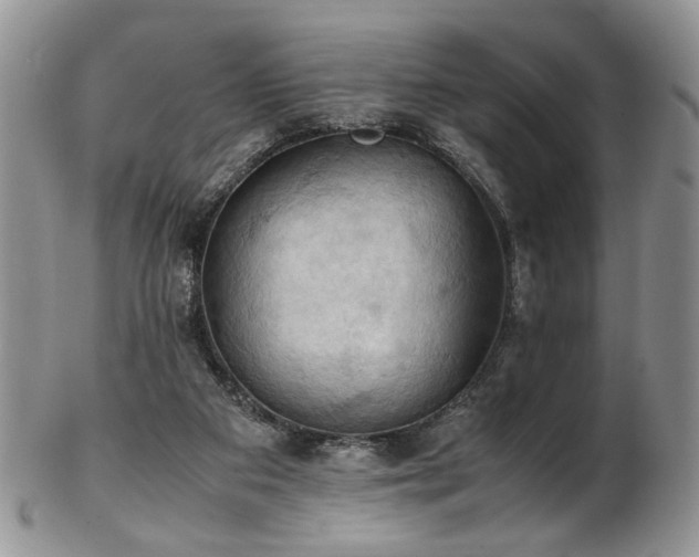 X0000103140113200808221224