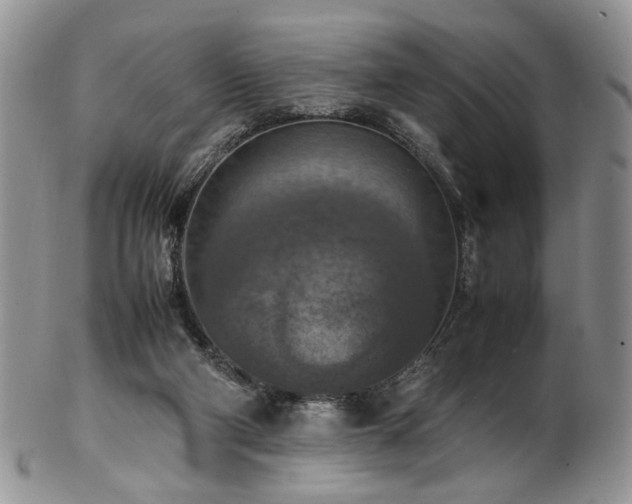 X0000103140114200808221224