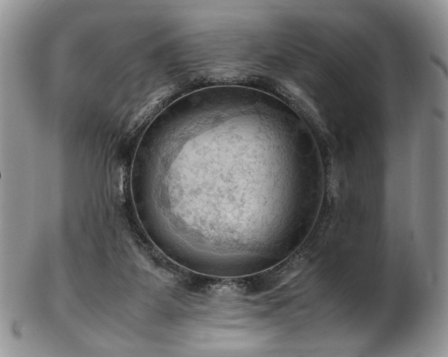 X0000103140115200808221224