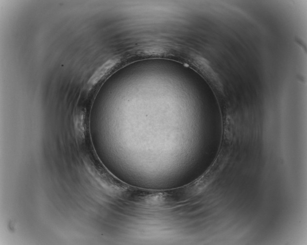 X0000103140116200808221224