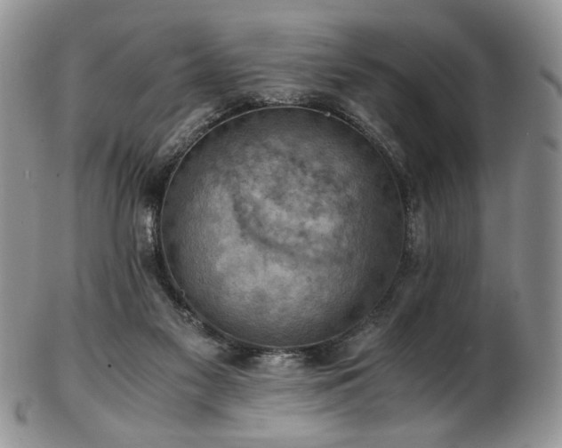 X0000103140117200808221224