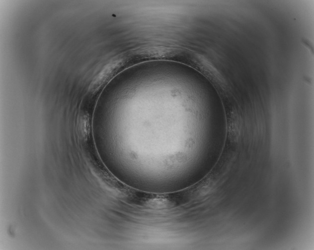 X0000103140119200808221224