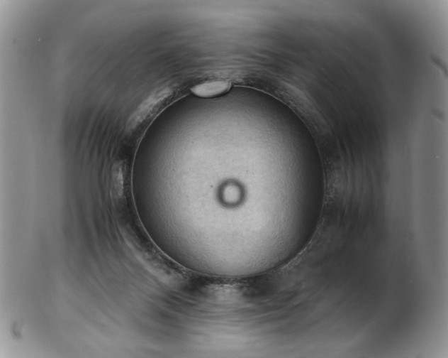 X0000103140120200808221224