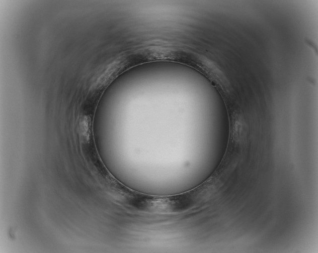 X0000103140121200808221224