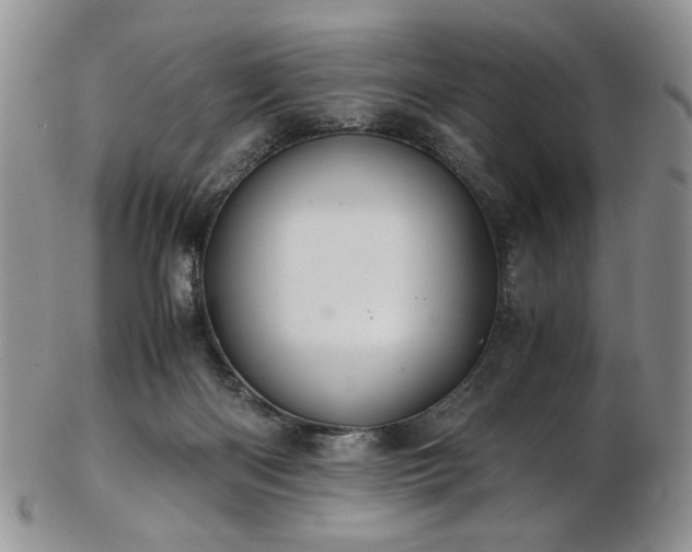 X0000103140122200808221224