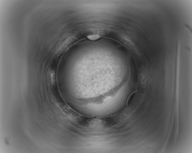 X0000103140123200808221224