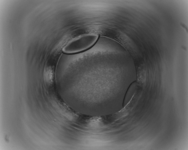 X0000103140124200808221224