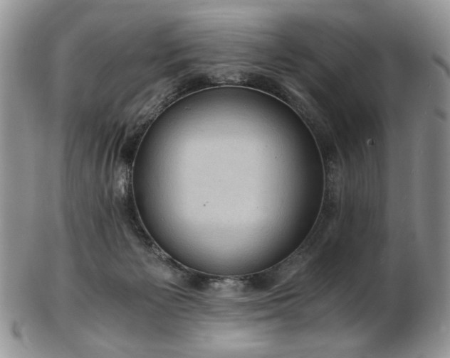 X0000103140125200808221224