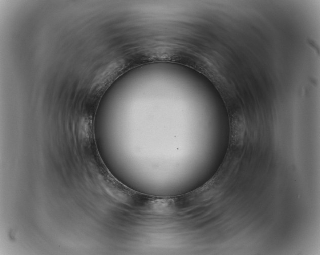 X0000103140126200808221224