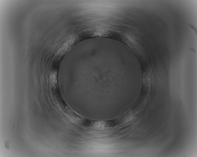 X0000103140127200808221224