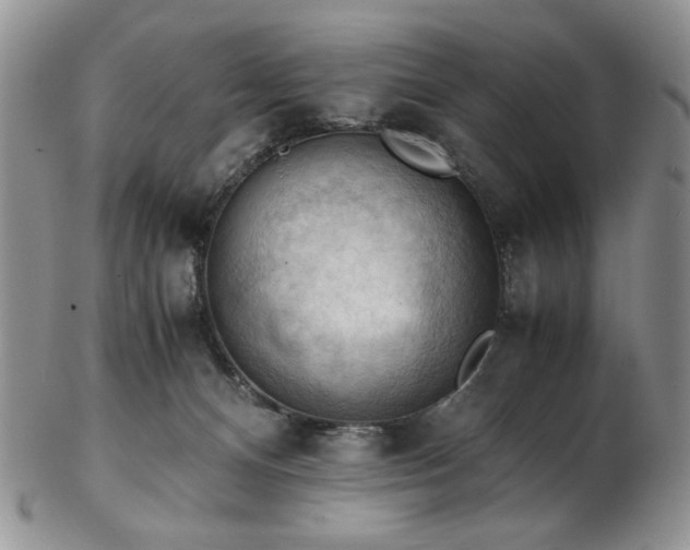 X0000103140128200808221224