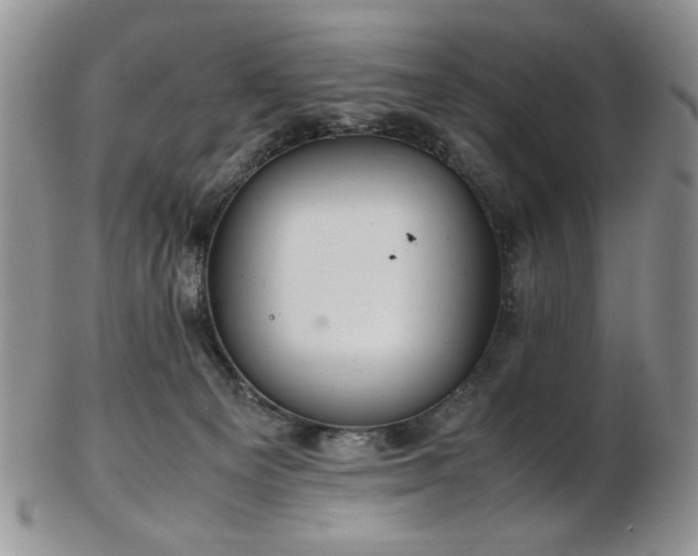 X0000103140129200808221224