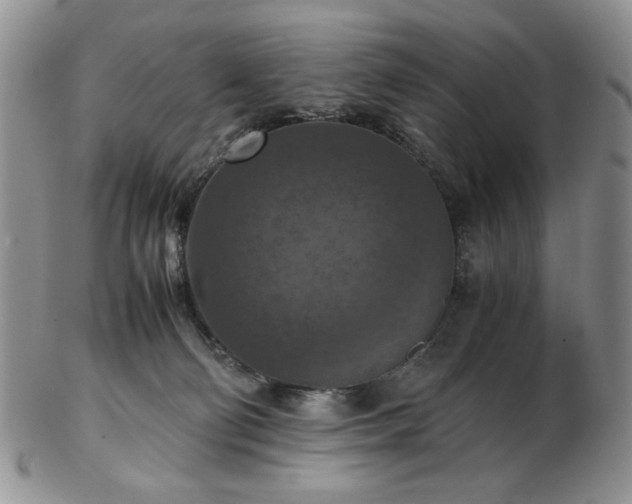 X0000103140130200808221224