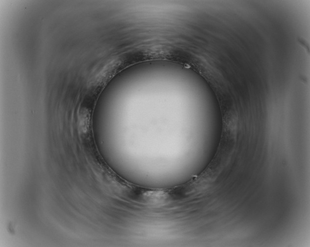 X0000103140133200808221224