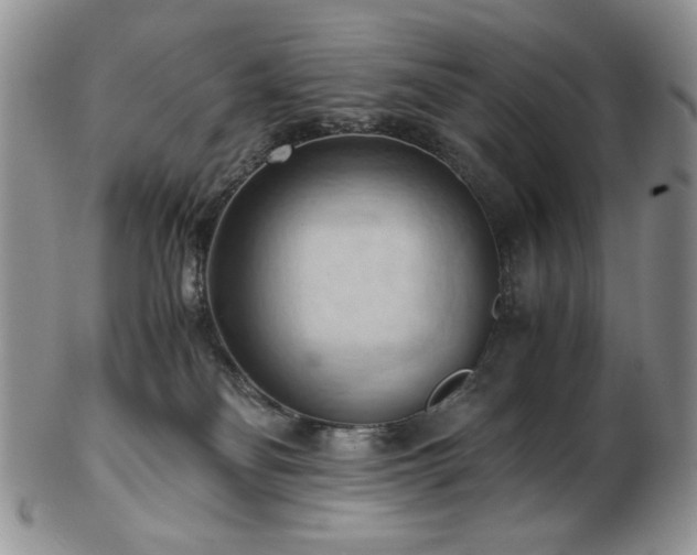 X0000103140134200808221224