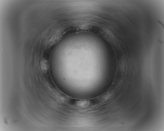 X0000103140135200808221224