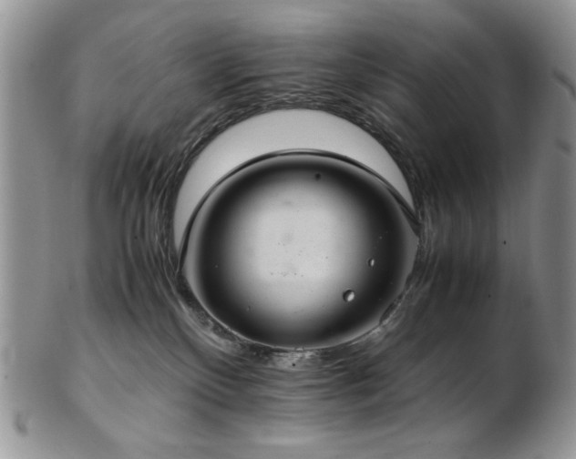 X0000103140136200808221224