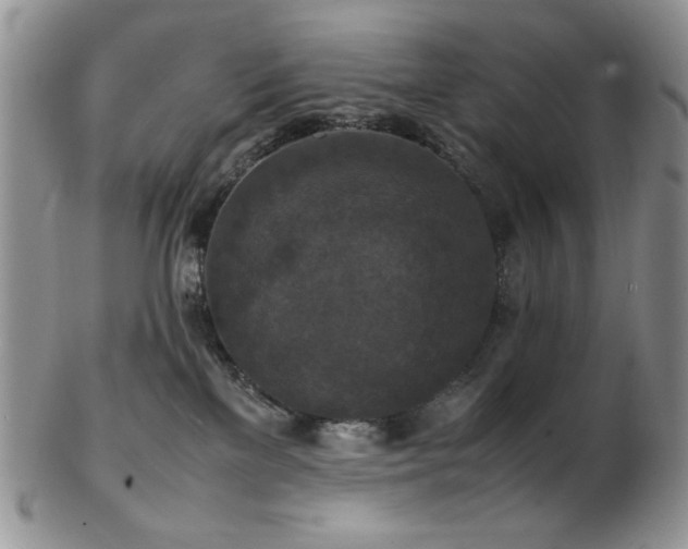 X0000103140137200808221224