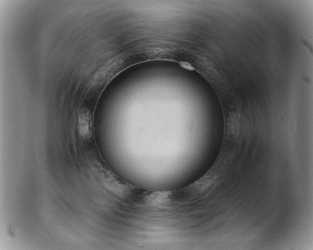 X0000103140138200808221224