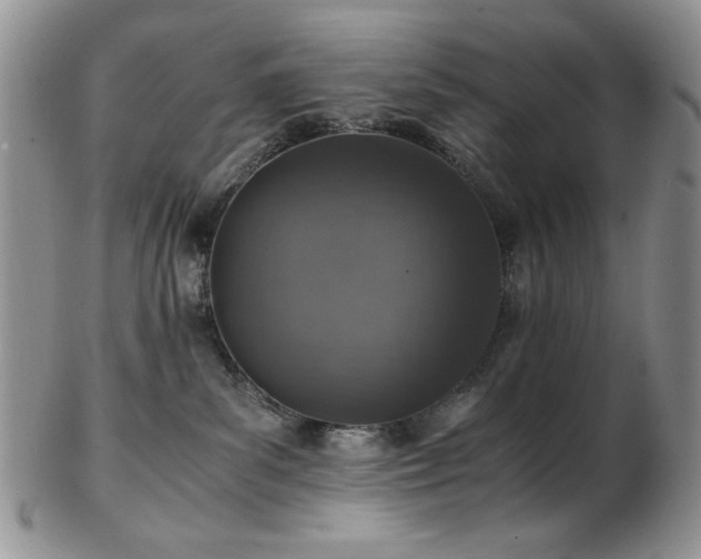 X0000103140139200808221224