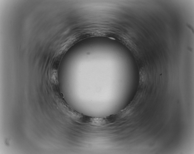 X0000103140141200808221224