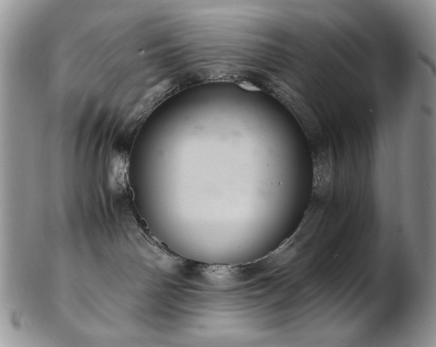 X0000103140142200808221224