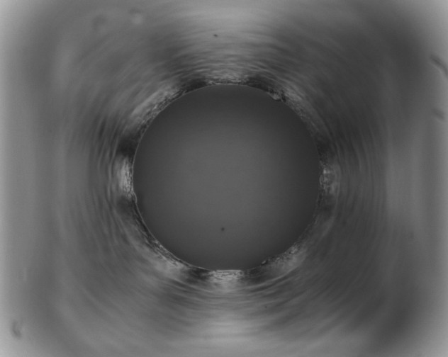 X0000103140143200808221224