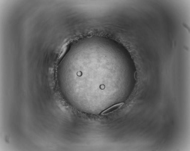 X0000103140144200808221224