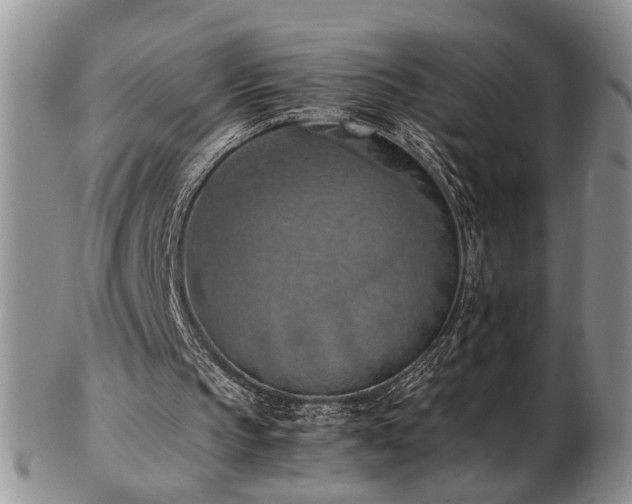 X0000103140145200808221223