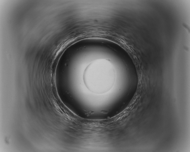 X0000103140146200808221223