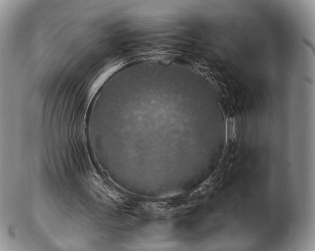 X0000103140147200808221223