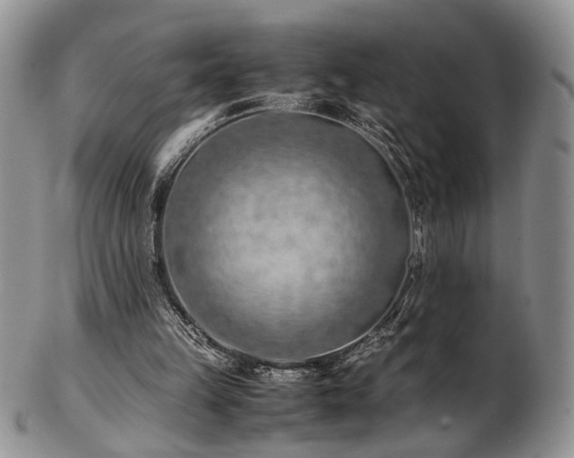 X0000103140149200808221223