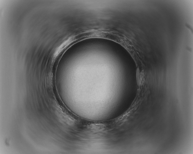 X0000103140150200808221223