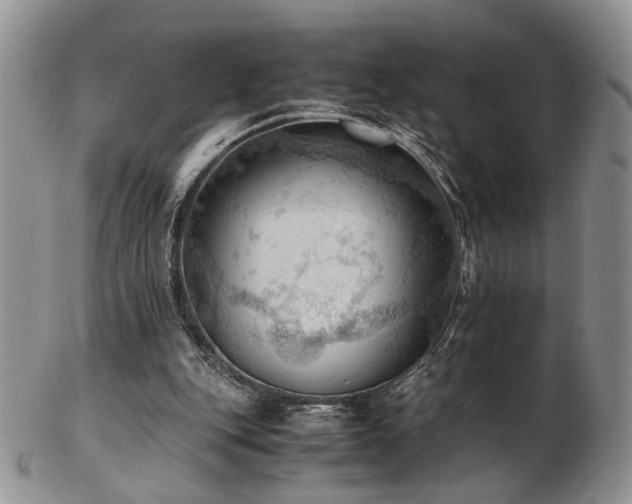 X0000103140151200808221223