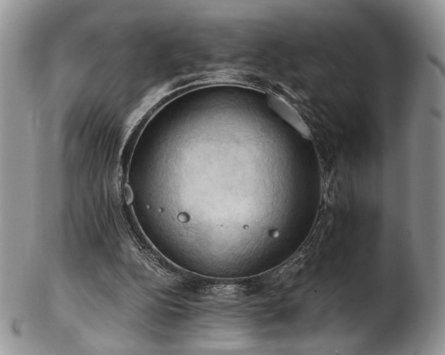 X0000103140152200808221223