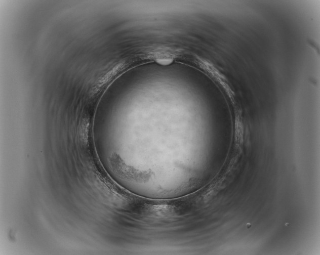 X0000103140153200808221223