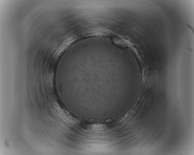 X0000103140154200808221223