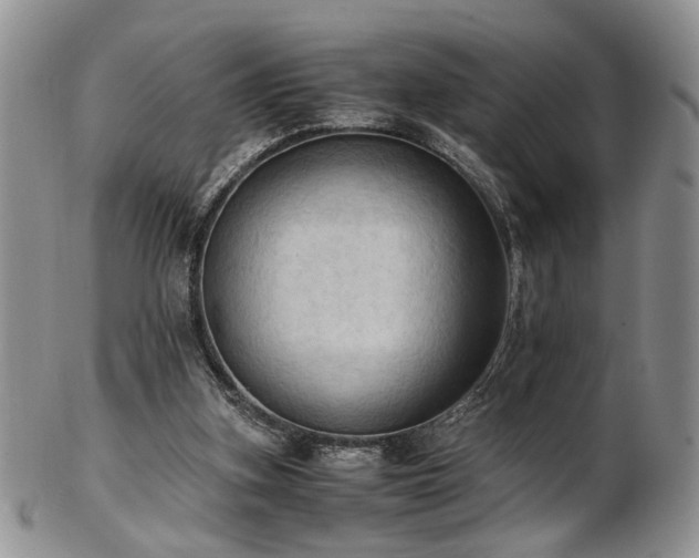 X0000103140155200808221223