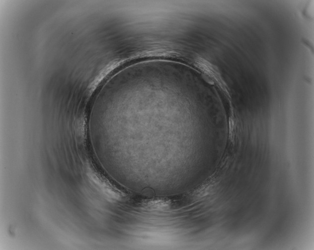 X0000103140156200808221223