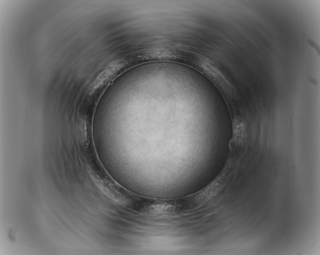 X0000103140158200808221223