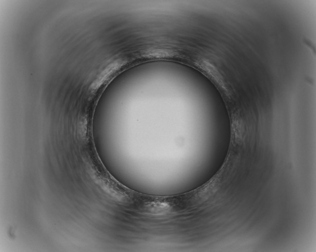 X0000103140159200808221223